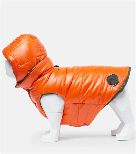 replica moncler dog jacket